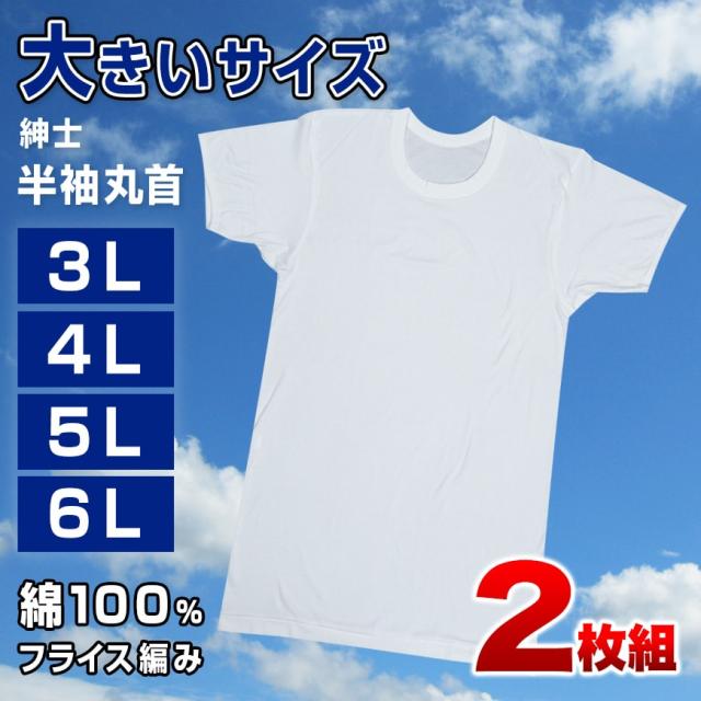 メンズ 半袖 tシャツ 大きいサイズ 綿100% クルーネック 2枚組 3L〜6L