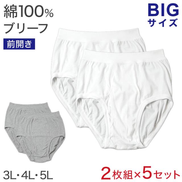 ブリーフ 綿100% 大きいサイズ 2枚組×5セット 3L 4L 5L