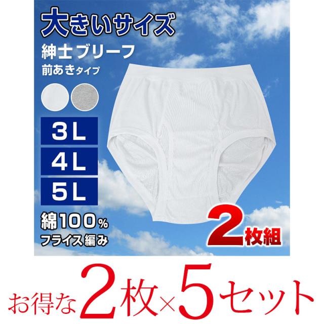 ブリーフ 綿100% 大きいサイズ 2枚組×5セット 3L 4L 5L