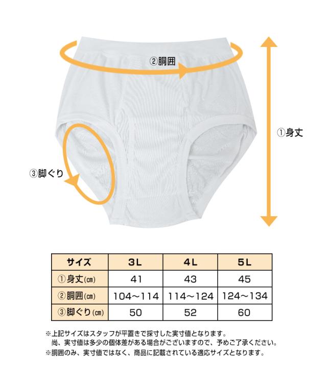 ブリーフ 綿100% 大きいサイズ 2枚組×5セット 3L 4L 5L