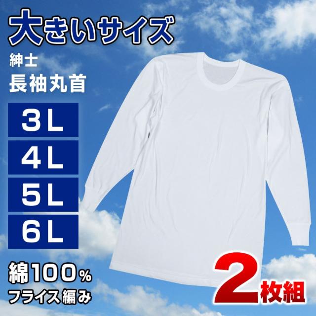 綿100% 長袖 丸首 シャツ 2枚組 フライス 3L 4L 5L 6L