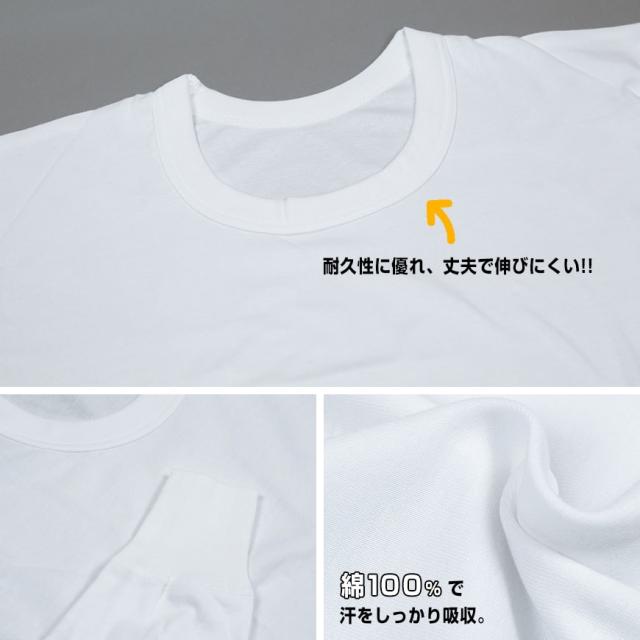綿100% 長袖 丸首 シャツ 2枚組 フライス 3L 4L 5L 6L
