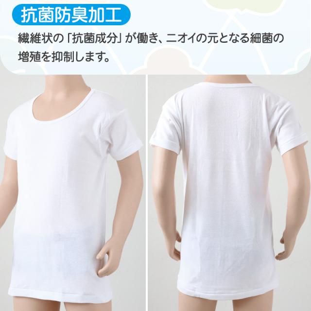 グンゼ 子供 肌着 半袖 男の子 綿100% キッズ インナー 丸首 襟広め 2枚組 100cm〜160cm