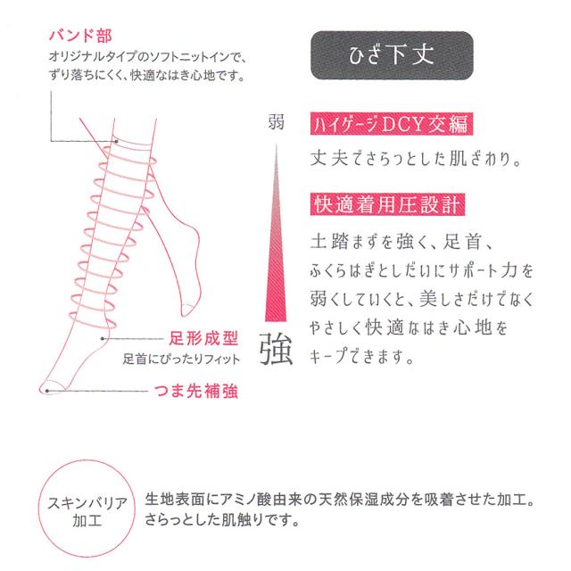 グンゼ IFFI 着圧 ストッキング ひざ下 通常タイプ・口ゴムゆったりタイプ 22〜25cm