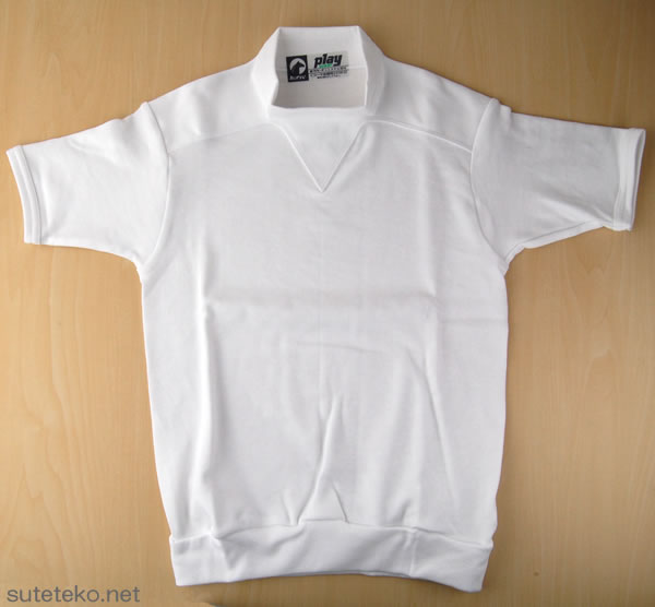 体操服 中学生 高校生 半袖 ハイネック S〜LL (取寄せ)