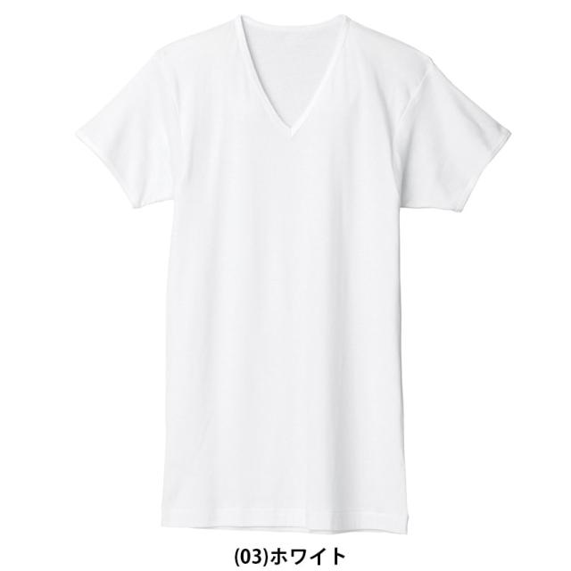 グンゼ 綿100% 肌着 メンズ 半袖 インナーシャツ V首 2枚組 S〜3L