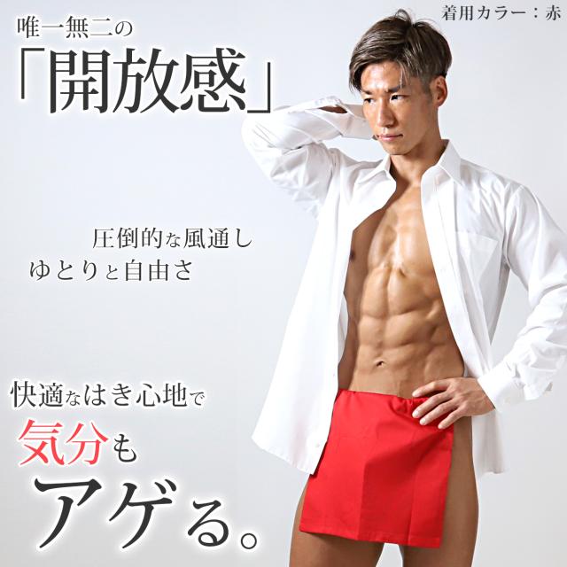 ふんどし メンズ 綿100% 下着 インナー 越中褌 風水カラー 蒸れない 快適 やわらかい 通気性の良い 着心地良い ギフト フリーサイズ