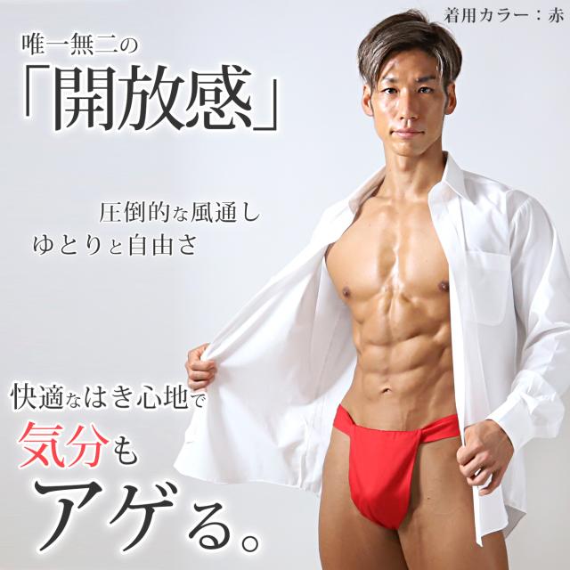 ふんどし メンズ 綿100% 下着 インナー 六尺褌 風水カラー 蒸れない 快適 やわらかい 通気性の良い 開放感 ギフト フリーサイズ