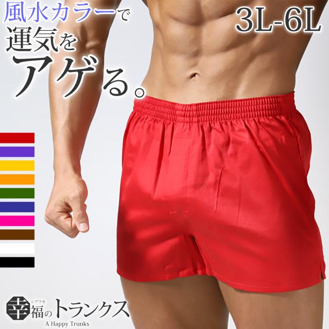 トランクス メンズ 綿100 大きいサイズ 下着 インナー 前開き スリット 風水カラー 3L-6L