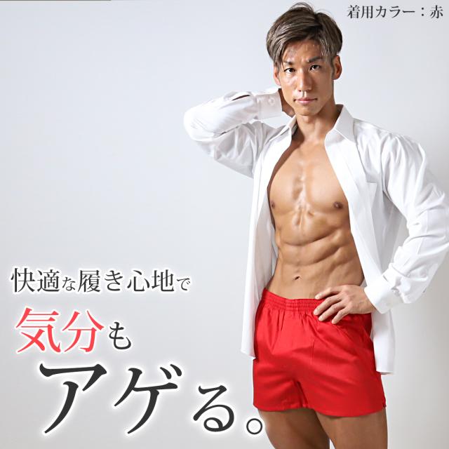 トランクス メンズ 綿100 大きいサイズ 下着 インナー 前開き スリット 風水カラー 3L-6L