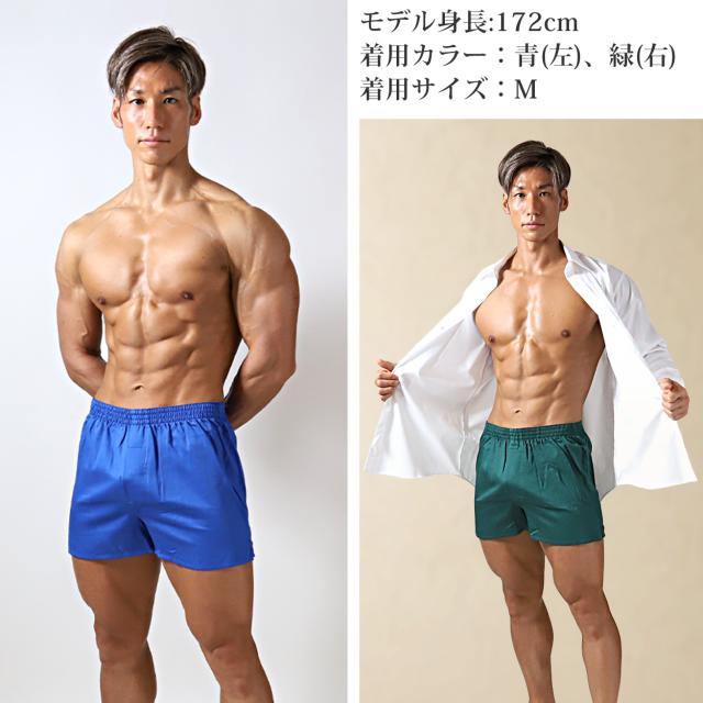 トランクス メンズ 綿100 大きいサイズ 下着 インナー 前開き スリット 風水カラー 3L-6L