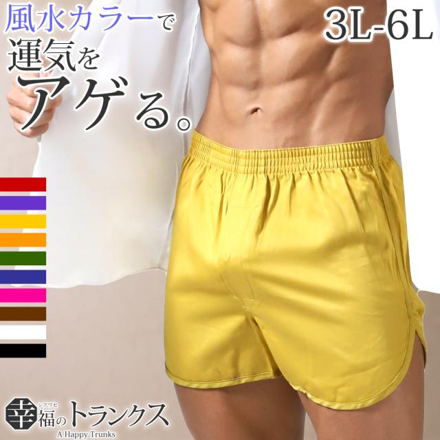 トランクス メンズ 綿100% 前開き 大きいサイズ 下着 インナー スリット 風水カラー 無地 通気性 3L-6L