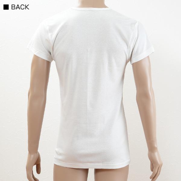 グンゼ 綿100% インナー メンズ 半袖 シャツ U首 夏 2枚組 M〜LL