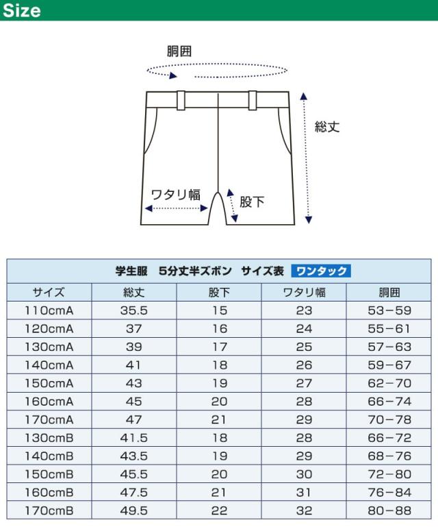 学生服 半ズボン 夏用 5分丈 男子 紺 110cmA〜170cmB (取寄せ)