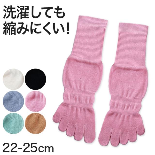 5本指ソックス レディース 綿100% ショートソックス 22-25cm (婦人靴下)