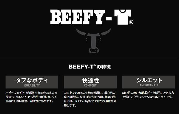 Hanes BEEFY-T Tシャツヘインズ メンズ 半袖 無地Tシャツ 厚手 ヘビーウェイト コットン クルーネック 綿Tシャツ S〜XL