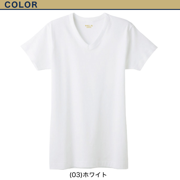 グンゼ 快適工房 メンズ 半袖 インナー vネック シャツ 綿100% 4L