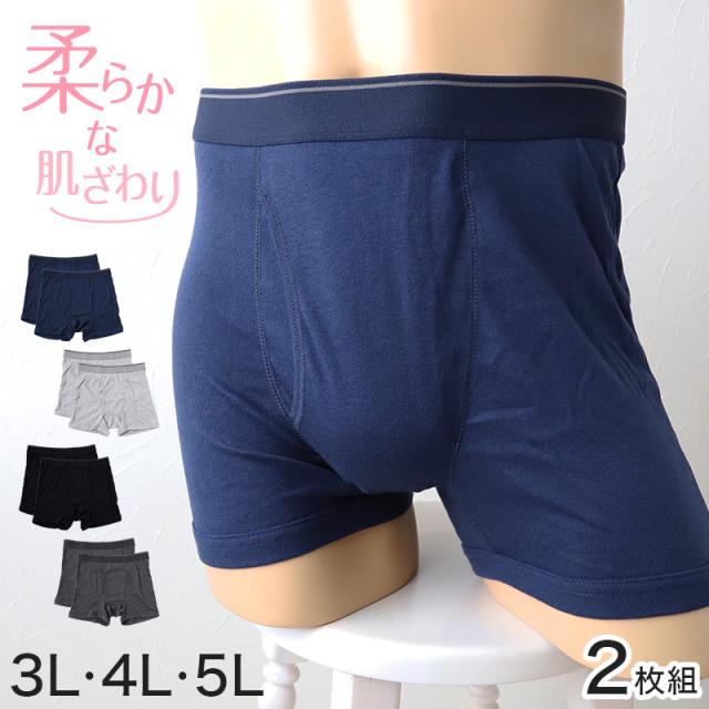 メンズ ボクサーブリーフ ボクサーパンツ 下着 3l 4l 5l 大きいサイズ 2枚組 3L〜5L