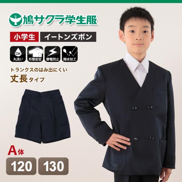 制服 半ズボン 小学生 鳩サクラ 男子 120cmA・130cmA (取寄せ)
