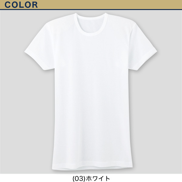 グンゼ 快適工房 紳士 半袖丸首シャツ 涼風綿 LL (在庫限り)