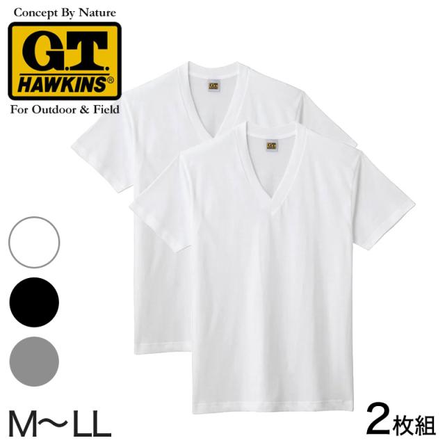 グンゼ 綿100% メンズ インナー 半袖 Vネック Tシャツ 2枚組 M〜LL