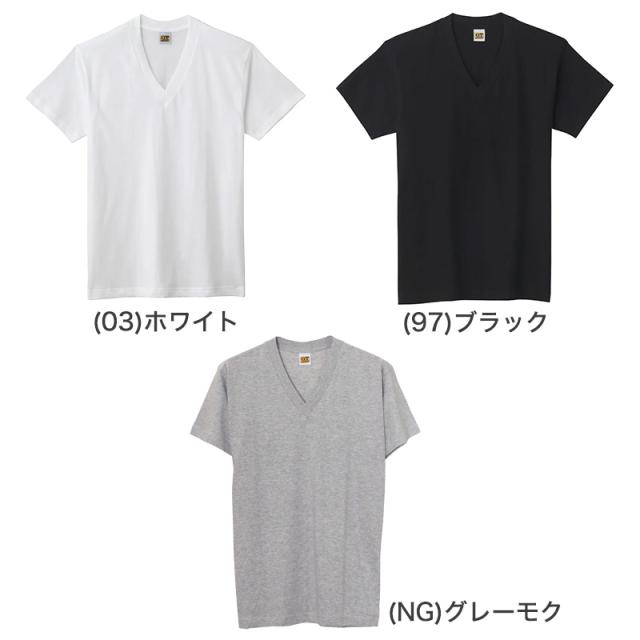 グンゼ 綿100% メンズ インナー 半袖 Vネック Tシャツ 2枚組 M〜LL