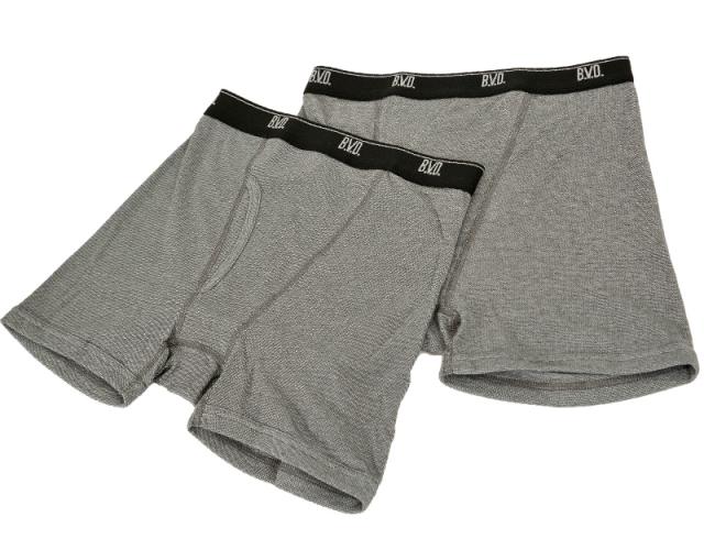 BVD ボクサーパンツ メンズ ボクサーブリーフ 前あき 2枚組 M〜LL