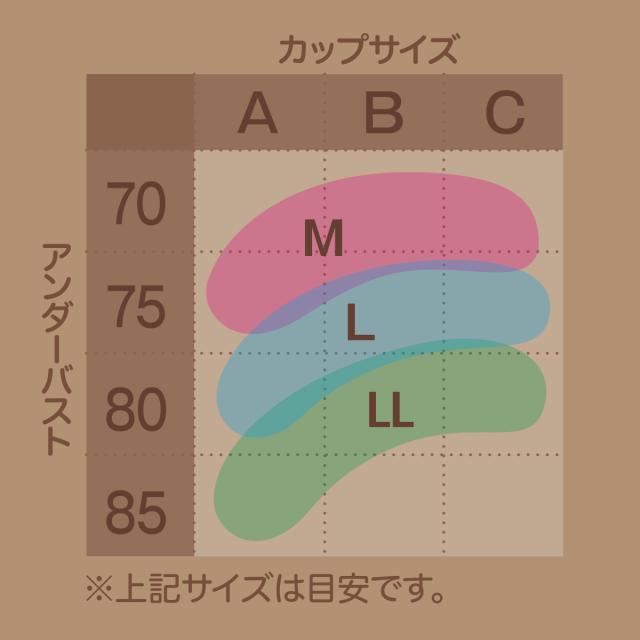 アツギ ノンワイヤーブラ ブラジャー 総レース M〜LL (在庫限り)