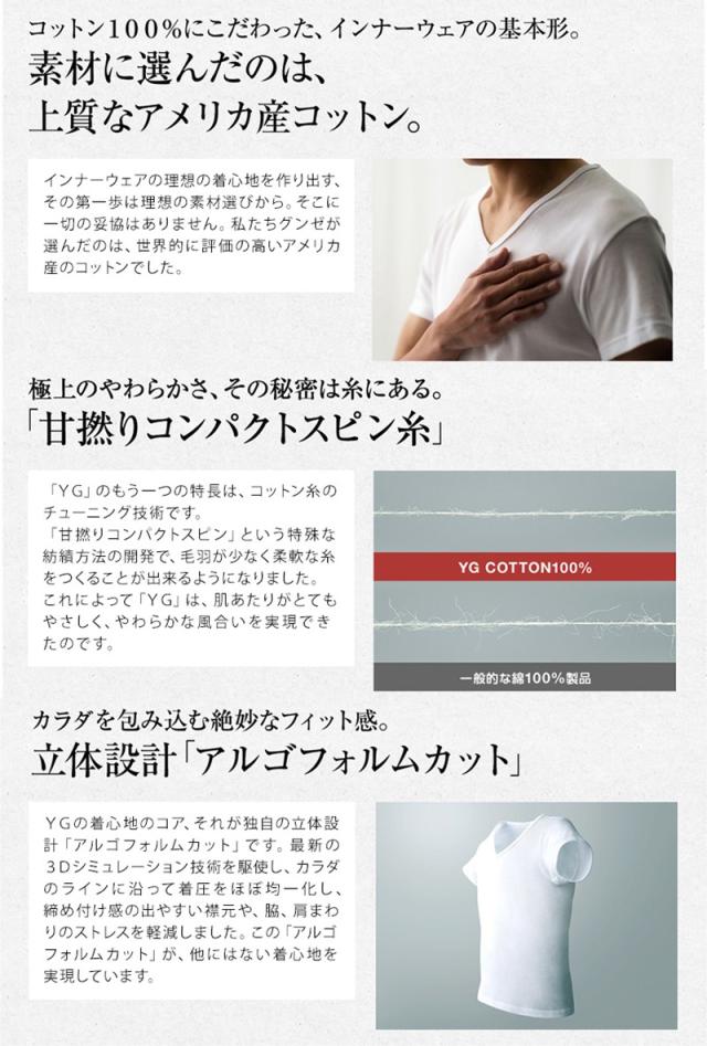 グンゼ tシャツ メンズ インナー 半袖 綿100% vネック M〜3L