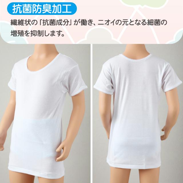 グンゼ 子供 肌着 女の子 綿100% 半袖 シャツ 2枚組 100cm〜160cm