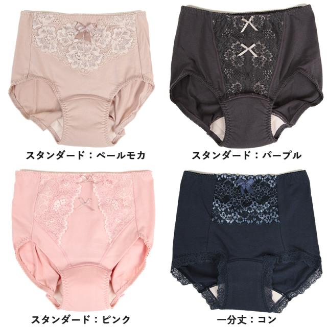 失禁ショーツ 婦人 ケアショーツ 5cc M〜3L (在庫限り)