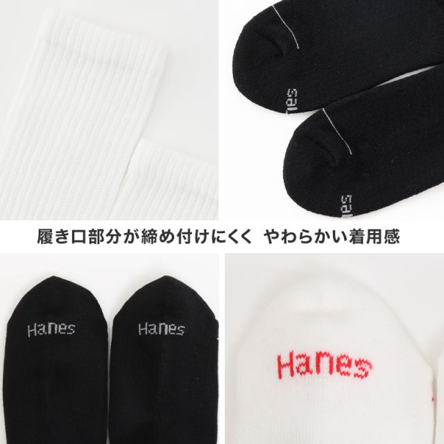 靴下 メンズ クルーソックス 2足組 Hanes ヘインズ ソックス 綿 クルー丈 ハーフパイル リブソックス スポーツ 23-25cm・25-27cm