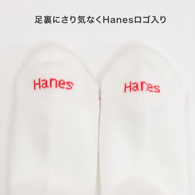 靴下 メンズ クルーソックス 2足組 Hanes ヘインズ ソックス 綿 クルー丈 ハーフパイル リブソックス スポーツ 23-25cm・25-27cm