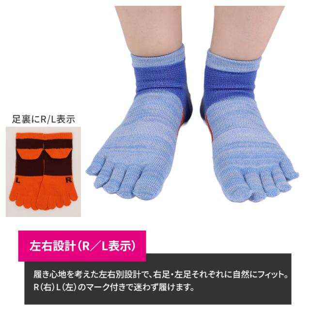 グンゼ アクティブスタイル 5本指 ソックス レディース スニーカーソックス 23 24 25 cm
