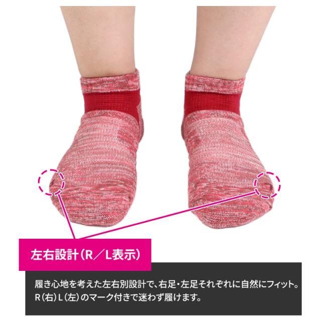 グンゼ アクティブスタイル レディース スニーカーソックス 靴下 23 24 25 cm