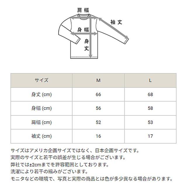 Champion Tシャツ レディース 半袖 婦人 ウエア シャツ トップス M L (在庫限り)