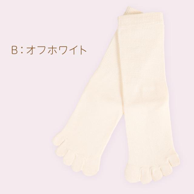 5本指靴下 子供 クルーソックス 16-18cm・19-21cm