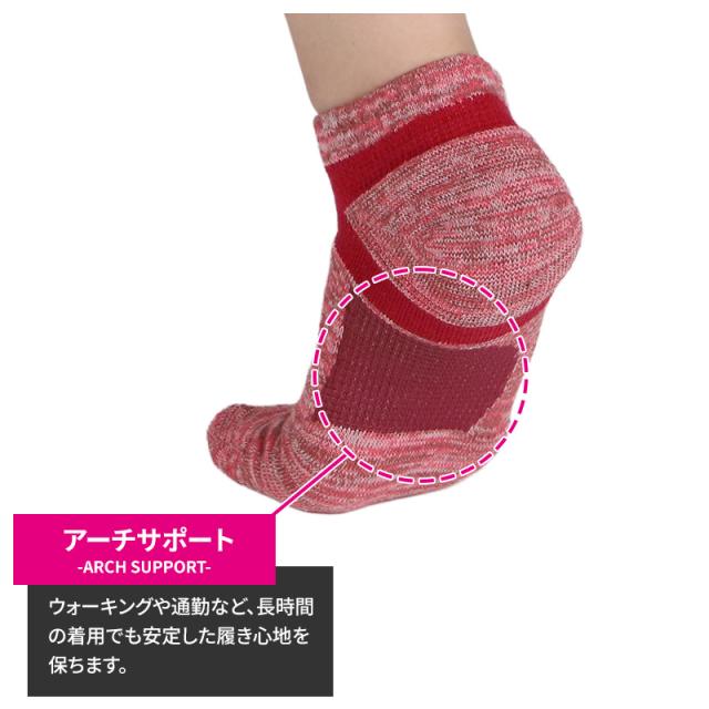 グンゼ アクティブスタイル レディース スニーカーソックス 靴下 2足セット 23 24 25 cm