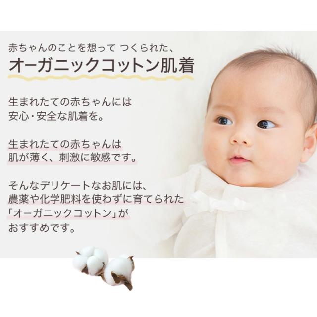 新生児 肌着 セット 綿100 5枚組 出産準備 出産祝い  50-60cm (在庫限り)