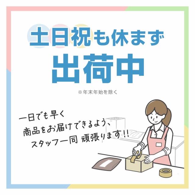 グンゼ ルームシューズ レディース スリッパ スリッポン 室内履き メッシュ 洗える 20-22cm・22-24cm