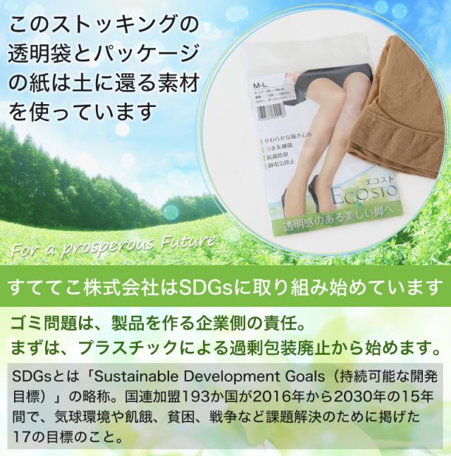 ECOSTO 日本製 ストッキング 伝線しにくい 丈夫 M-L・L-LL