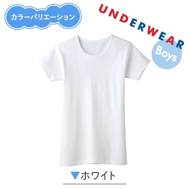 グンゼ 子供 肌着 半袖 男の子 綿100% 厚地 丸首シャツ 襟あき広め 2枚組 100cm〜160cm (在庫限り)