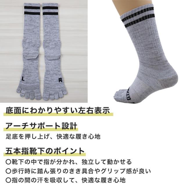 グンゼ GTホーキンス 5本指ソックス メンズ 靴下 3足組 25-27cm