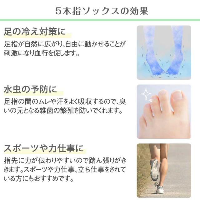 5本指ソックス レディース 口ゴム ゆったり 綿 5本指靴下 クルーソックス 22-24cm (在庫限り)