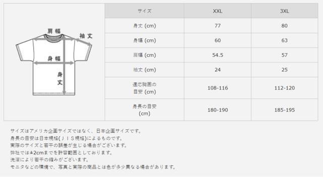 ヘインズ ビーフィー Tシャツ 大きいサイズ メンズ hanes beefy XXL・3XL パックT