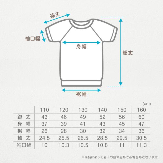 体操服 小学生 半袖 ドライ メッシュ 体操着 半そで 涼しい 夏 tシャツ 体育着 運動着 薄手 110〜160cm (送料無料)