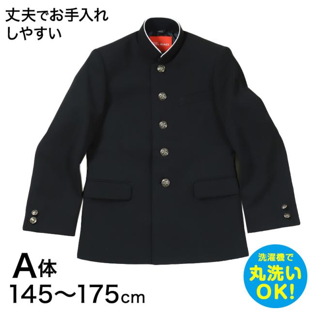 学生服 詰衿上衣 ソフトラウンドカラー ストリード 145cmA〜175cmA (送料無料) (取寄せ)