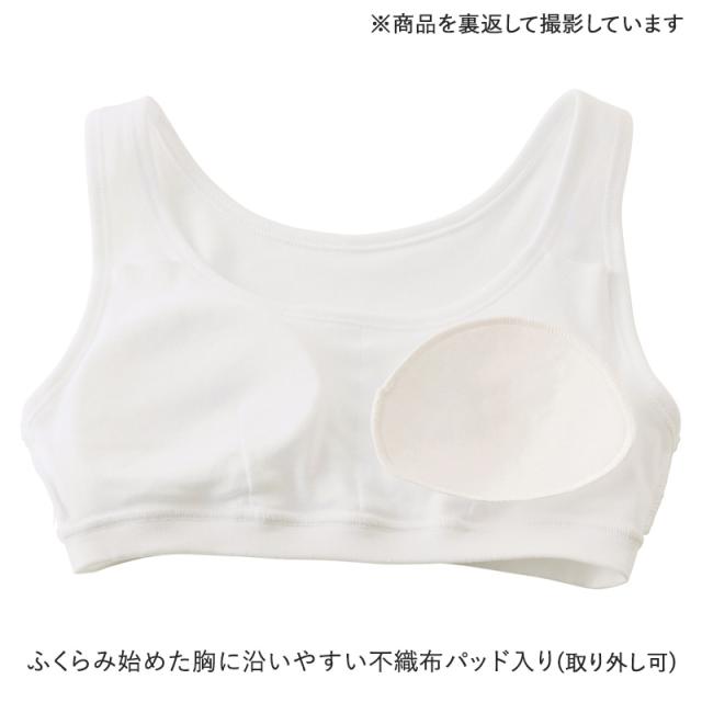 グンゼ 綿100% パット付き ハーフトップ ジュニアブラ 140〜160cm