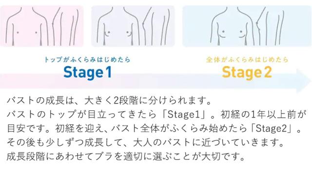 グンゼ 綿100% パット付き ハーフトップ ジュニアブラ 140〜160cm
