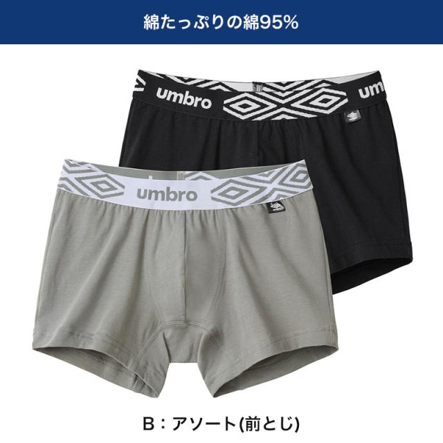 グンゼ umbro ボクサーブリーフ ボクサーパンツ 2枚組 前あき 前とじ M L LL